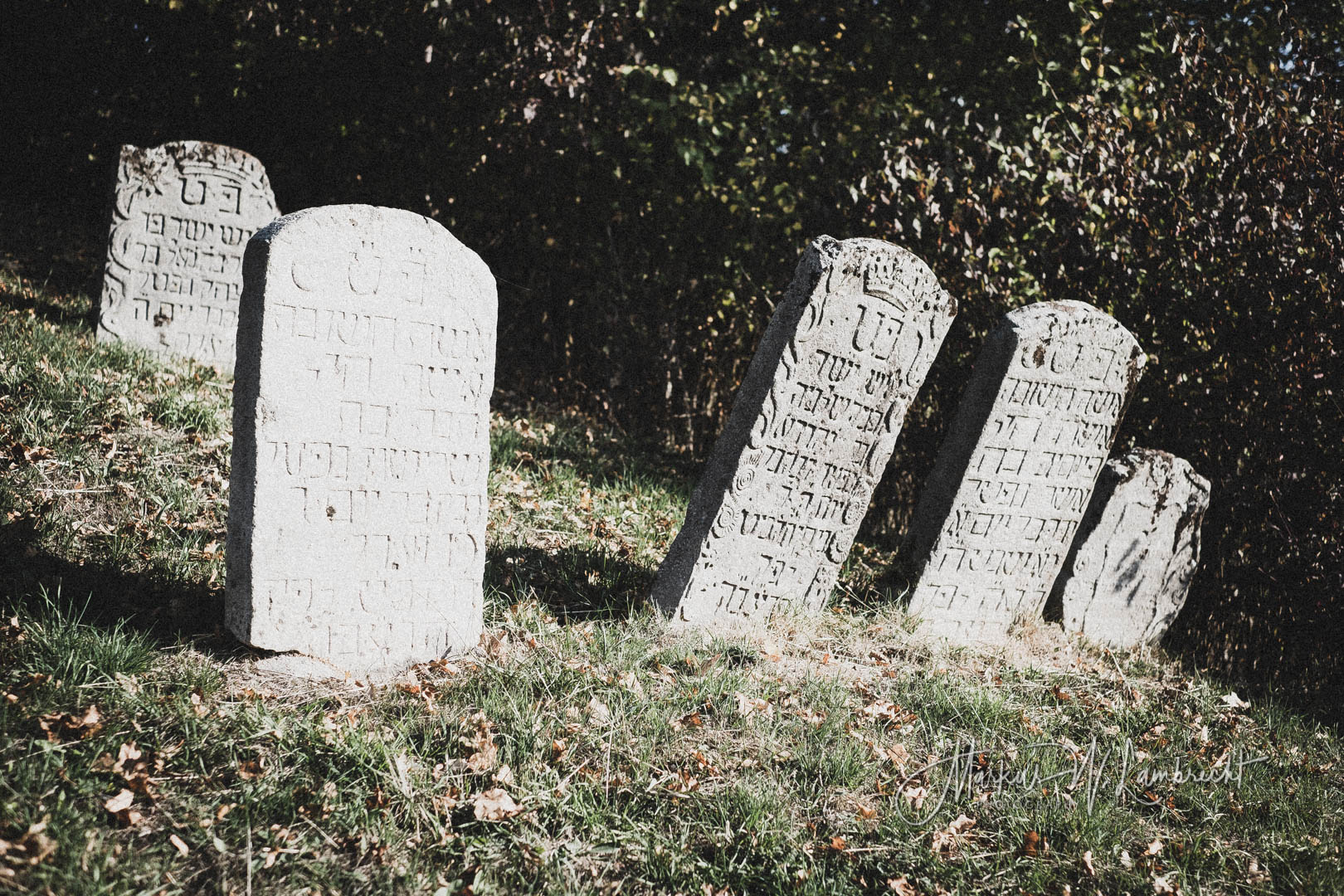 Tann (Rhön), Jüdischer Friedhof